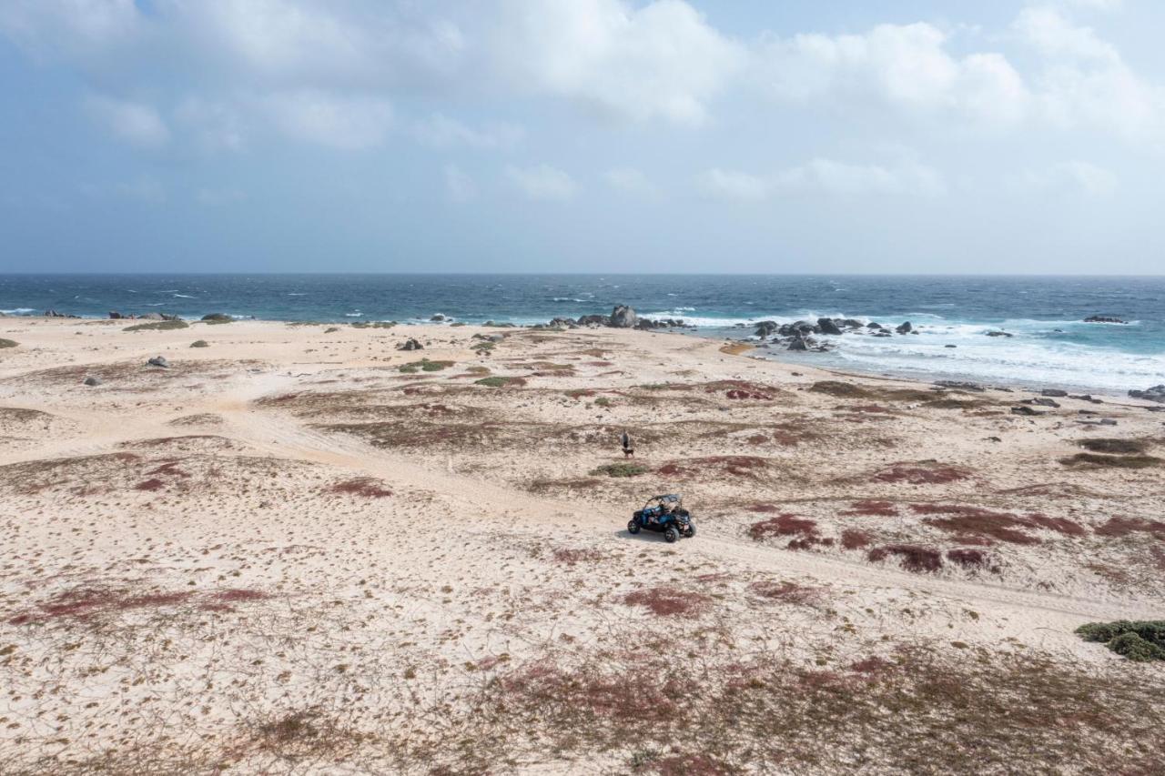 Marriott'S Aruba Ocean Club Otel Palm Beach Dış mekan fotoğraf